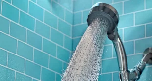 Handheld Shower Head