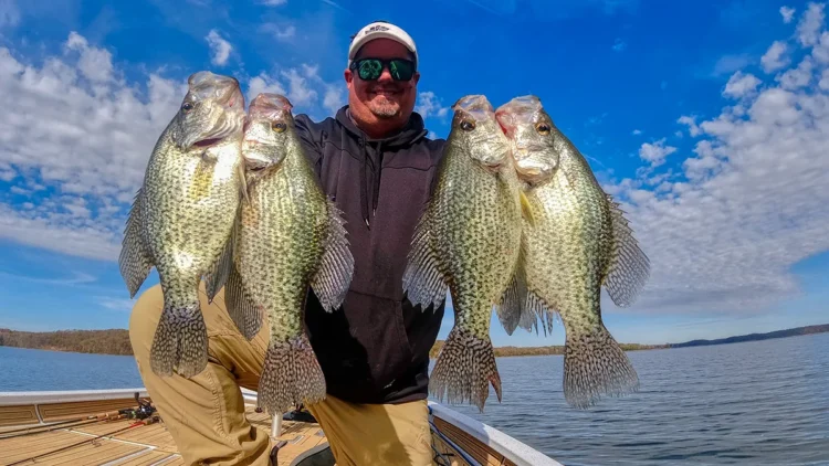 Crappie fishing