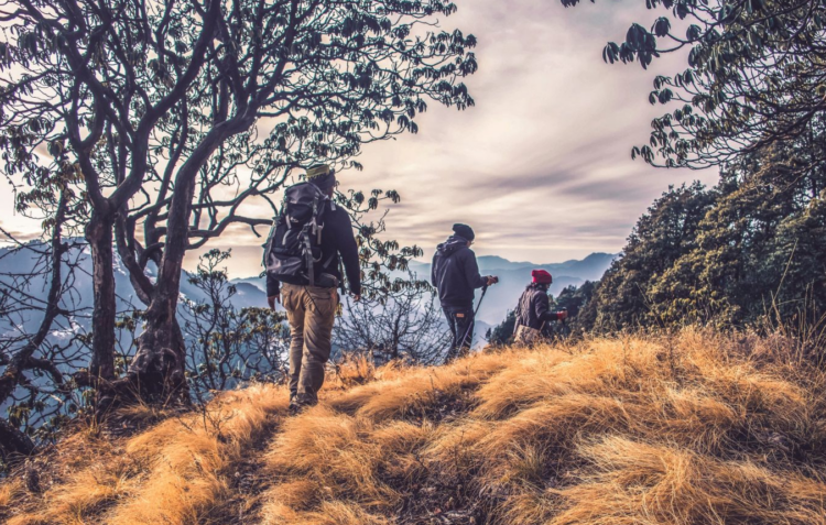 People walking in nature. Tips for healing after a divorce.