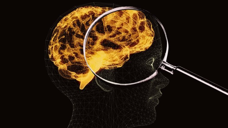 Nicotine's Impact on the Brain