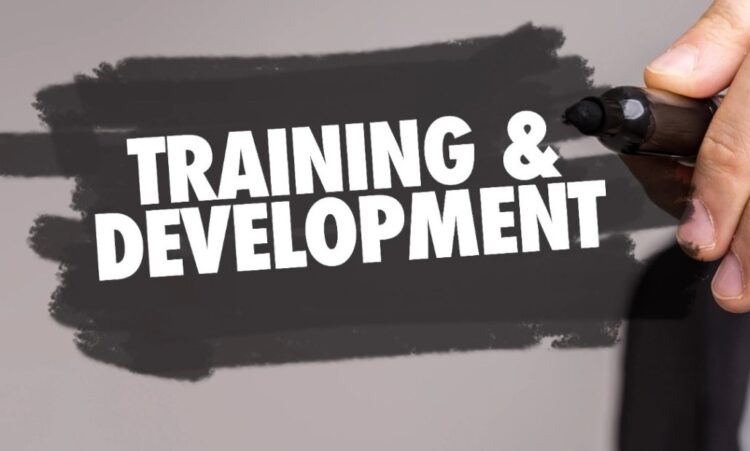 training and development