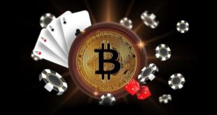 Highest Crypto Casino Payouts in the History of Casino Gambling