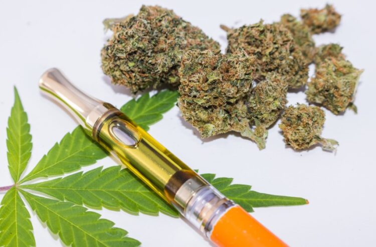 The Ultimate Guide To Delta 8 Vape Disposables For On the Go Lifestyles 