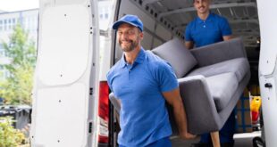 Professional Movers for Furniture Safely