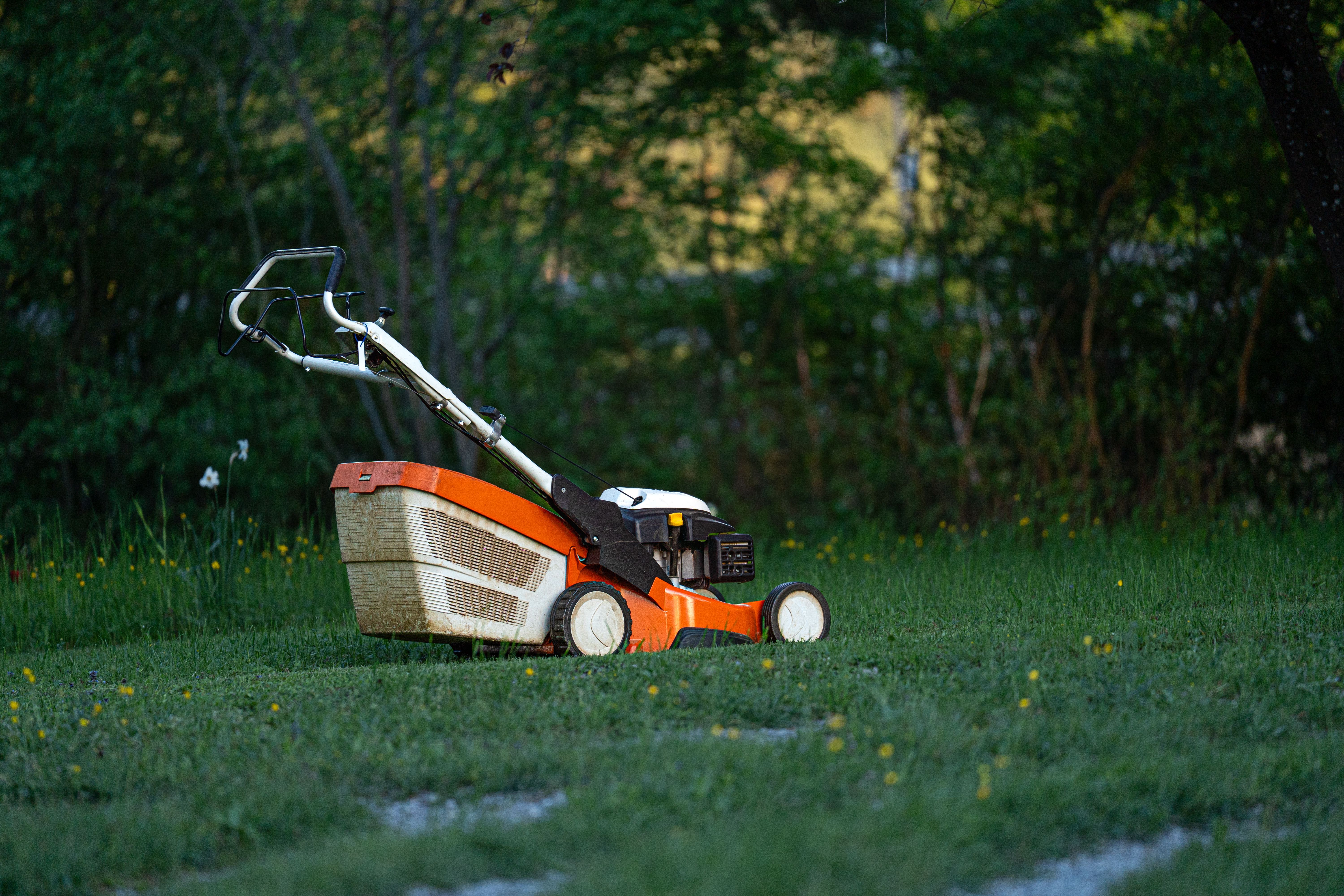 Push lawnmower on a backyard lawn, ready for mowing-height adjustment